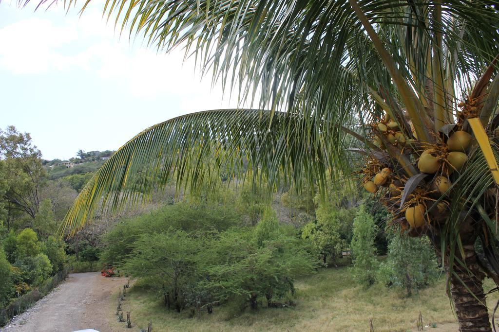 Villa Le Chapo Port Mathurin 客房 照片